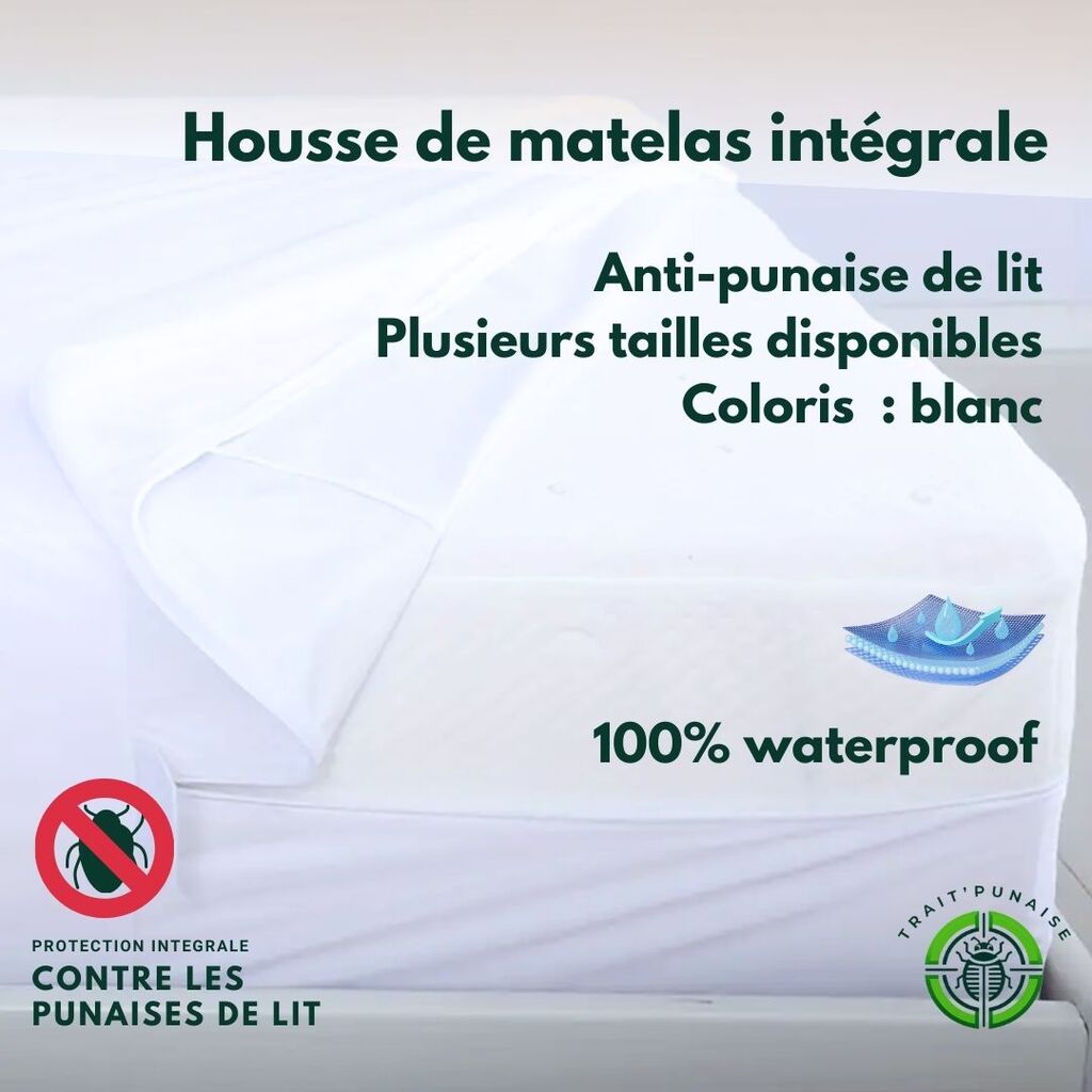 Easytex Housse de matelas anti-punaise lit 1 personne - Beaux-Arts et Loisirs créatifs Easytex Housse de matelas anti-punaise lit 1 personne - Beaux-Arts et Loisirs créatifs