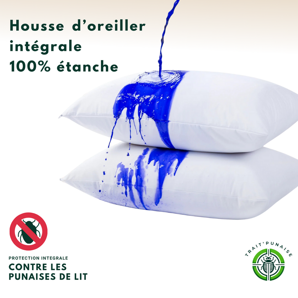 175933507068dd529e975e11590143