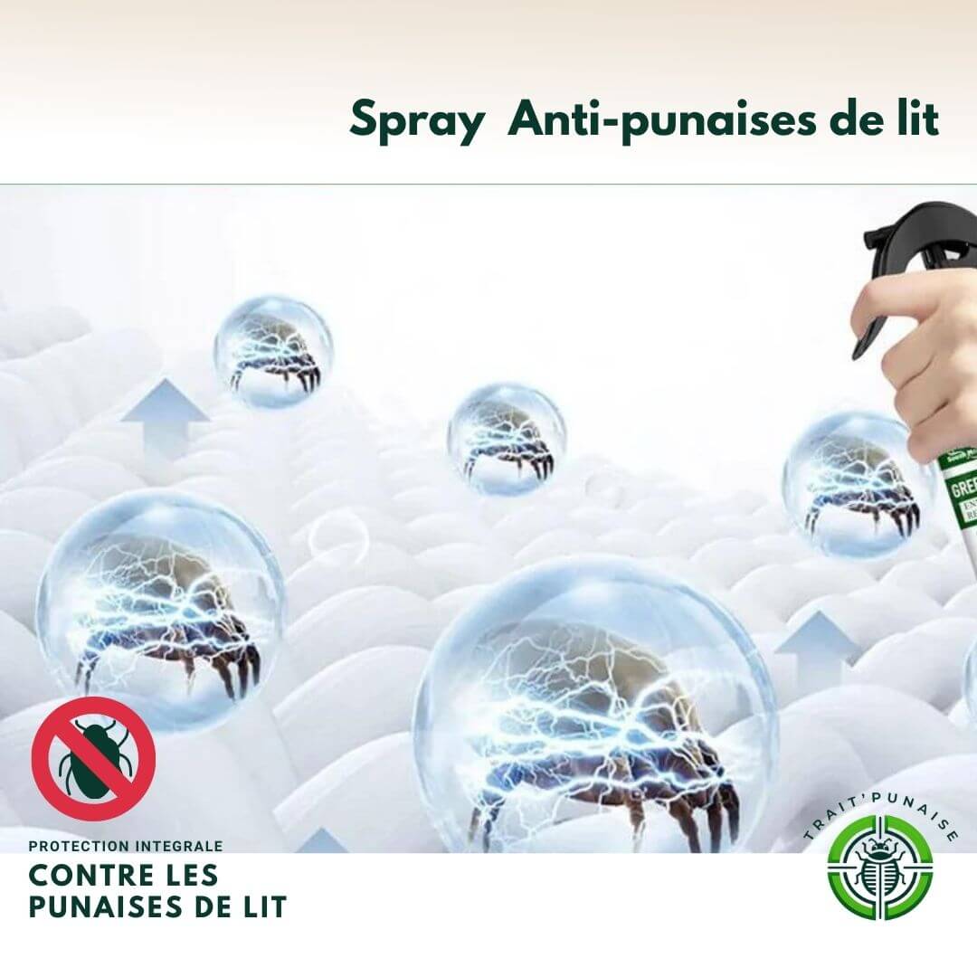 Spray anti-punaises de lit