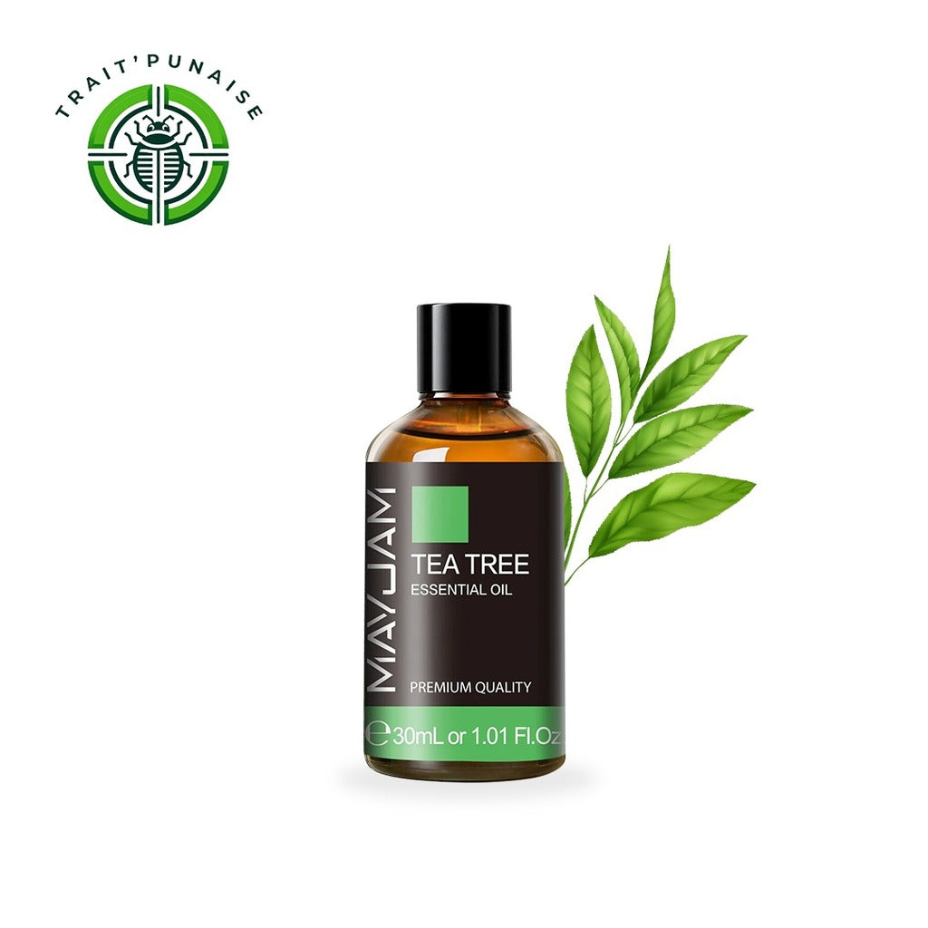 176003236968e7f671515208841057