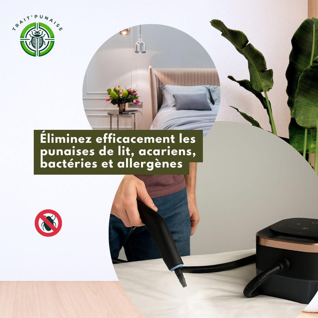 1762498748690d98bc7aaef1689301